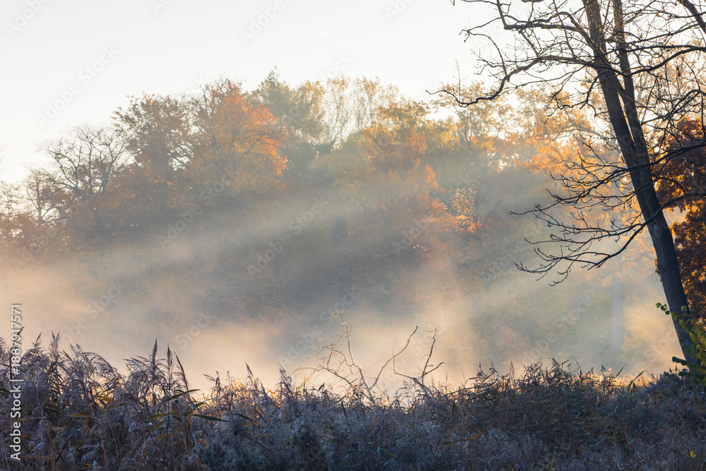 Fototapeta premium Park in Rheinsberg im Herbst im frostigen Morgenlicht