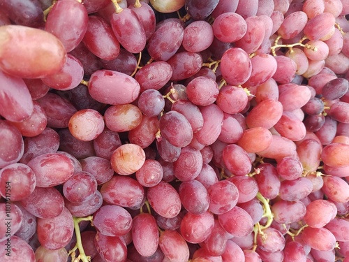 Obraz na plátně Bunch of grapes