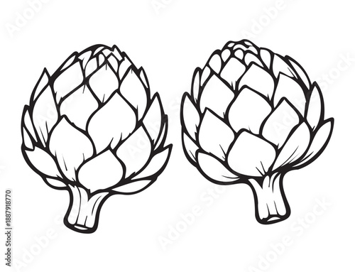 Artichoke icon. Vegetables. Fresh food. Hand drawn artichoke. Vector illustration.