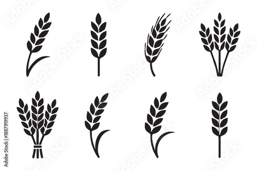 Simple hand drawn line art of a wheat stalk on a white background