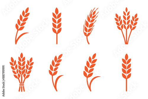 Simple hand drawn line art of a wheat stalk on a white background