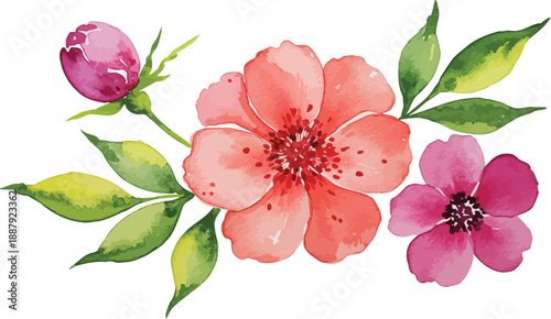 Watercolor painting of pink flowers and green leaves on white background