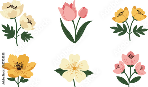 Collection of six colorful floral illustrations with tulips and daffodils