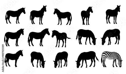 Zebra Silhouette Icon Set Black Vector Safari Animal Collection