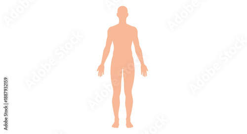 Human Body Silhouette Icon – Anatomy Medical Figure Health Illustration