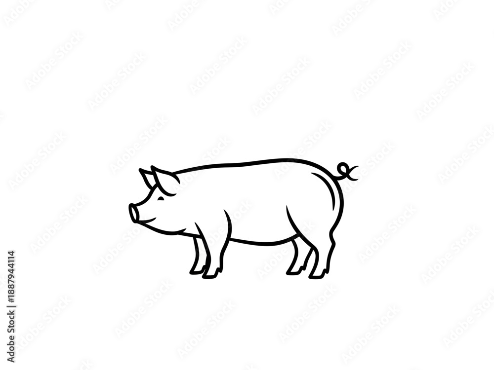 Fototapeta premium Simple line drawing of a pig