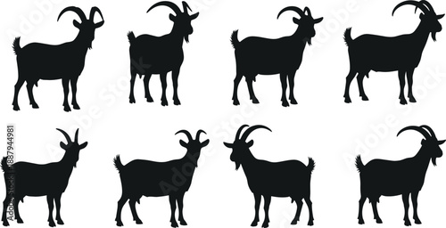 Goat animal silhouettes flat vector illustration, farm livestock collection, horned mammal poses, rural agriculture nature design