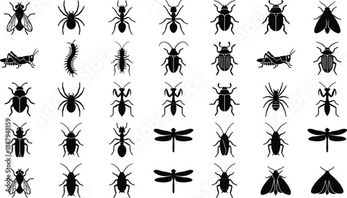 Insect silhouette collection featuring beetles, ants, spiders, flies, dragonflies, grasshoppers, and bugs, black wildlife icons for biology, entomology, and nature illustration isolated on white