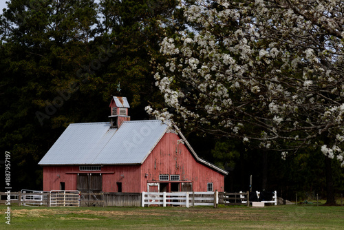 Red barn, traditional barn, rustic farm, Americana,