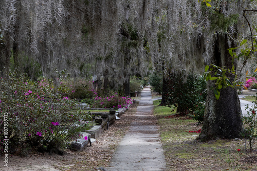 Bonaventure Cemetery, Savannah GA