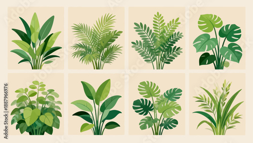 Illustrated tropical plants collection