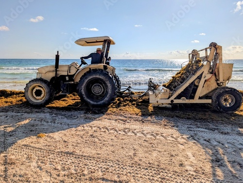 Sargassum harvesting on the beach in Tulum, Quintana Roo, Mexico - January 2026