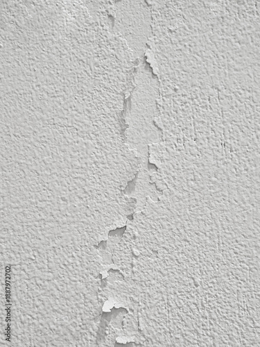 Obraz na plátně Background of fine peeling on the plaster of a roughcast wall