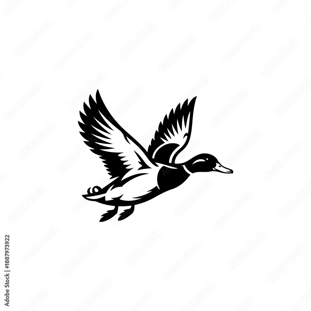 Obraz premium A bold black and white vector illustration of a wild duck in flight. The design features a dynamic pose with detailed feathers and outspread wings on a white background.