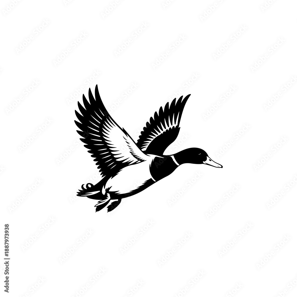 Fototapeta premium A bold black and white vector illustration of a wild duck in flight. The design features a dynamic pose with detailed feathers and outspread wings on a white background.