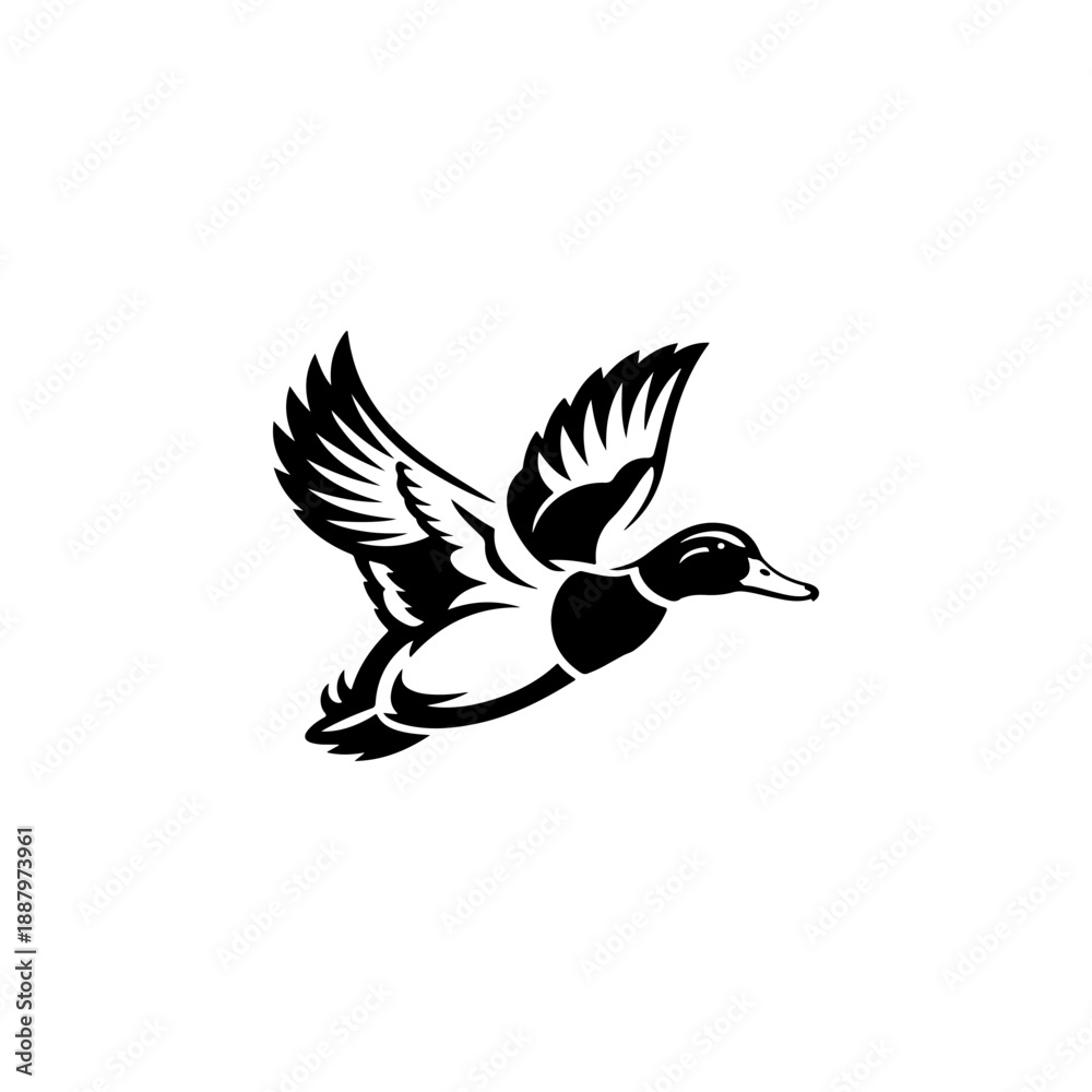 Fototapeta premium A bold black and white vector illustration of a wild duck in flight. The design features a dynamic pose with detailed feathers and outspread wings on a white background.