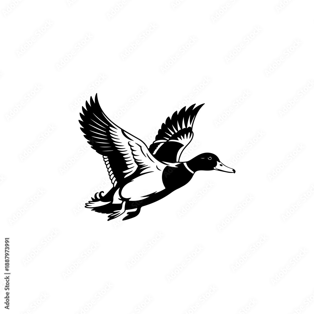 Fototapeta premium A bold black and white vector illustration of a wild duck in flight. The design features a dynamic pose with detailed feathers and outspread wings on a white background.