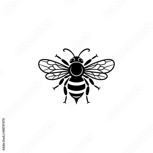 A symmetrical black and white vector illustration of a honey bee. The graphic features clean lines, detailed wings, and a striped abdomen in a minimalist style.