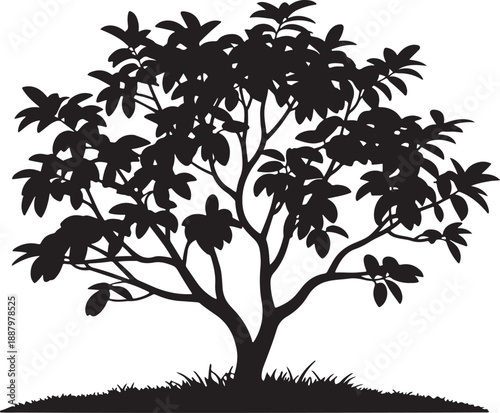 Black silhouette of a deciduous leafy fruit tree with a wide canopy and lush foliage standing on a grassy hill isolated on a white background