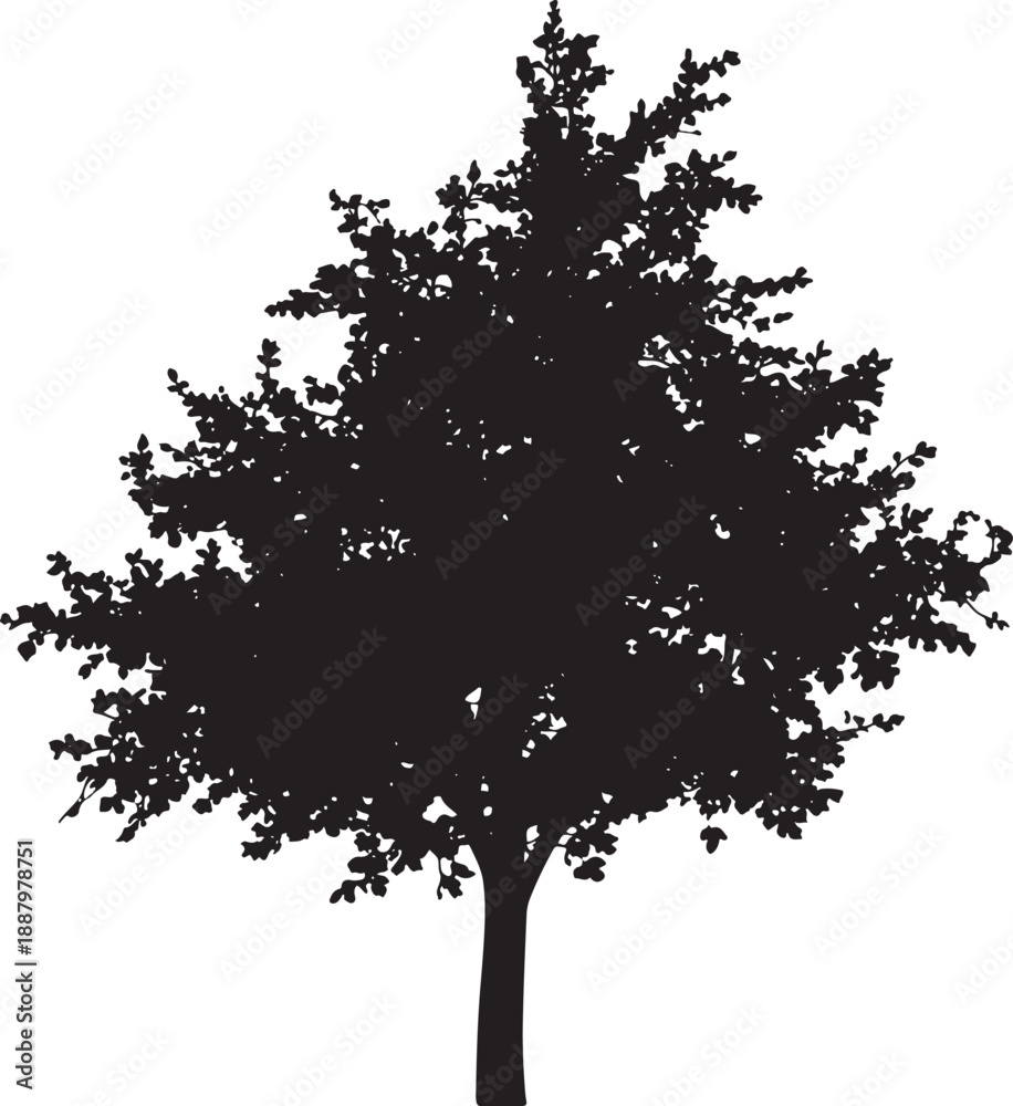Fototapeta premium A black silhouette of a tall evergreen pine tree with detailed needles and branches standing on a grassy hill isolated on white background for graphic design
