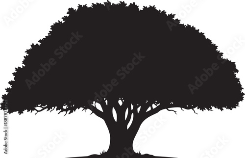 Collection of minimalist black tree silhouettes including pine spruce and deciduous leafy varieties isolated on white background for nature forest landscape logo graphic branding design