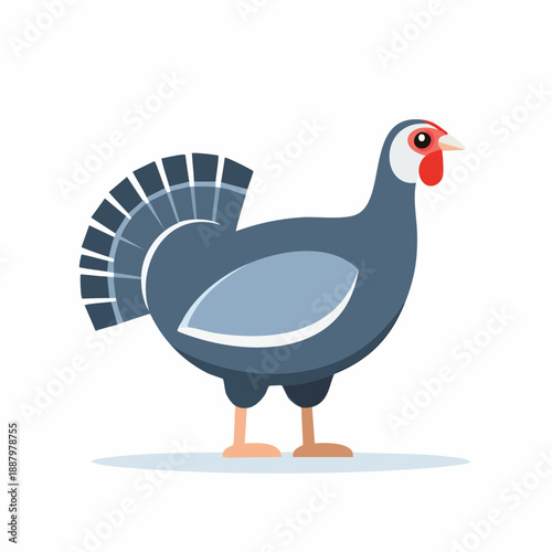 Cartoon illustration of a turkey bird, side view
