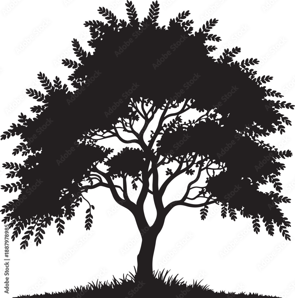 Fototapeta premium PrintMinimalist black deciduous tree silhouette vector illustration showing lush summer leaves and canopy isolated on white background for outdoor nature park logo branding graphic design