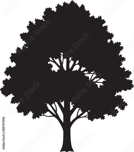 Black silhouette of a deciduous maple tree featuring a detailed crown with lush leaves and sturdy trunk isolated on a white background for graphic design