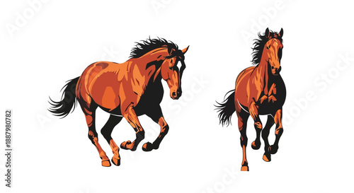 Two reddish brown horses depicted in a dynamic running pose
