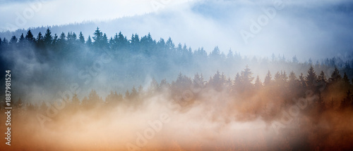 Nebelschwaden in einer hügeligen Waldlandschaft