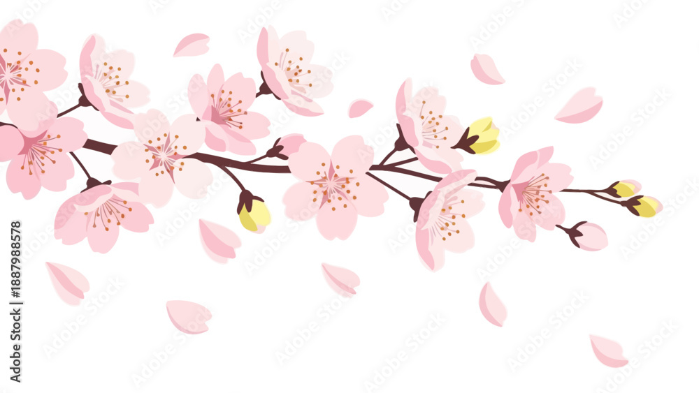 Fototapeta premium Delicate Pink Cherry Blossoms Branch with Falling Petals
