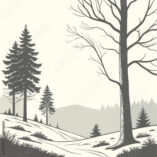 Serene winter forest trail