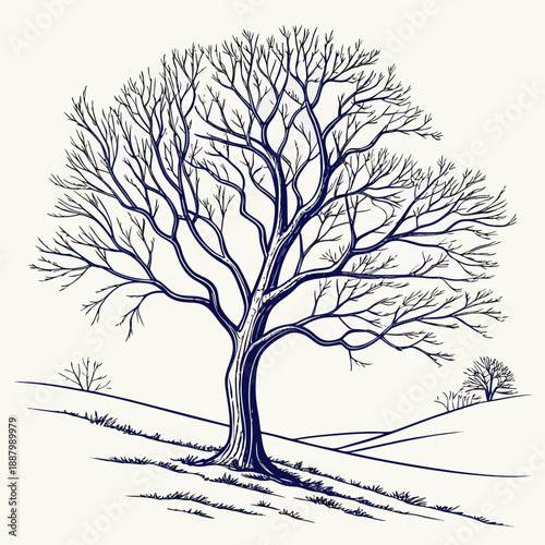 Leafless tree in winter landscape