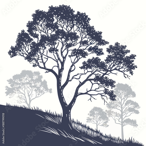 Silhouette of a tree on a hill
