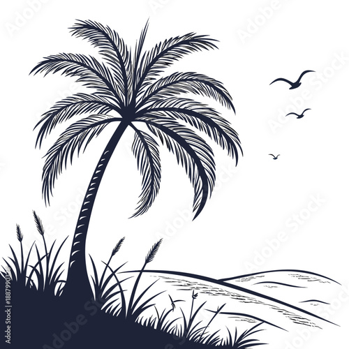 Tropical beach with palm tree and seagulls