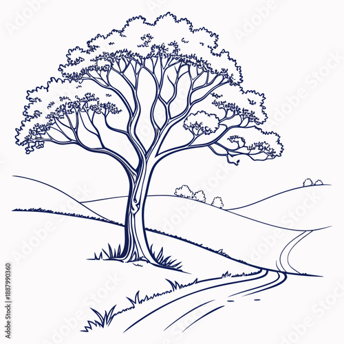 Lone tree on a hillside