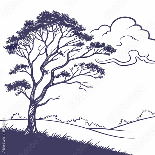 Lone tree on hillside