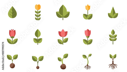Collection of Various Plant Growth Stages.