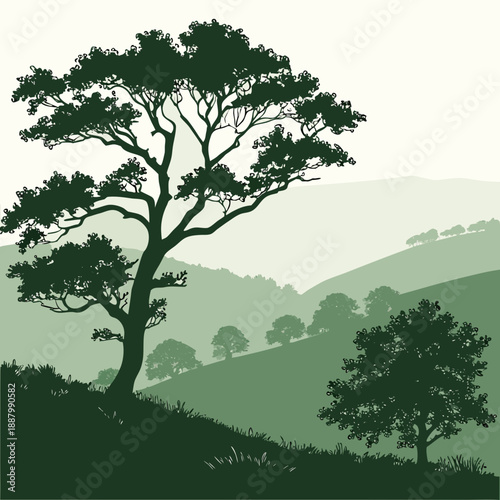 Lone tree on hillside