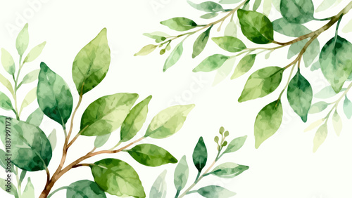 Watercolor painting of green leaves