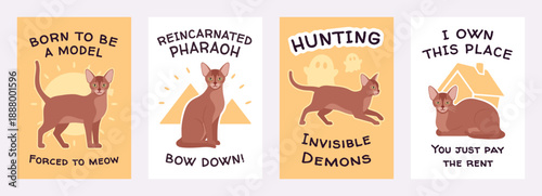 Abyssinian cat, cute kitten slogan poster banner set, inspirational quotes. Hoodie printing, notebook, mugs, bottles, banner typography, sayings tote bags, pouch design, flyers. Vector illustration