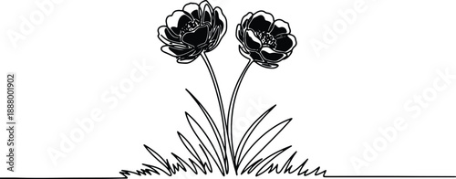 A clean and minimalistic continuous one line drawing of flowers, vector illustration