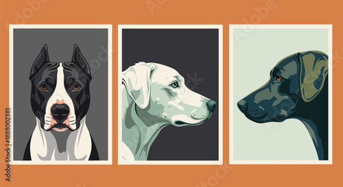 Vector illustration of three dogs, a pitbull, a white dog, and a black dog, depicted in profile and frontal views