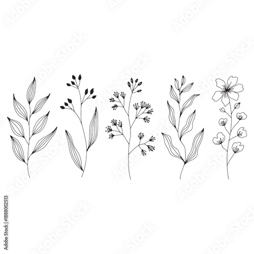 Five different types of black and white line flowers with leaves and stems botanical