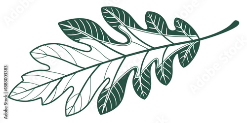 Intricate green leaf illustration