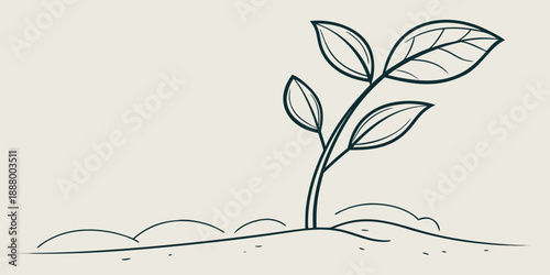 Young plant sprouting from soil