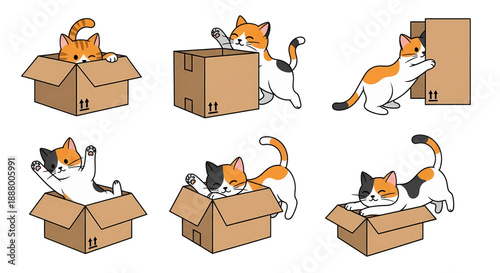 Cats Playing With Cardboard Boxes.