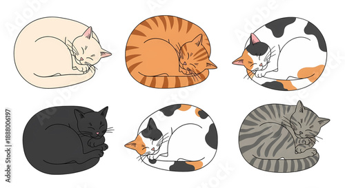Cute sleeping cats in various colors.