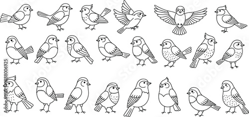 Hand drawn songbird outline set with flying and standing birds in simple black and white line style