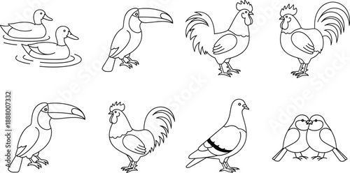 Hand drawn bird outline set with duck, toucan, rooster, pigeon, and lovebirds in black and white style